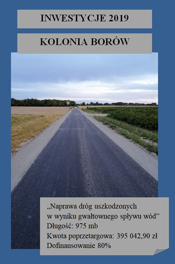 Odbudowa drogi gminnej w m. Borów-Kolonia
