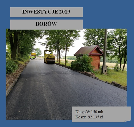 Przebudowa drogi powiatowej w m. Borów-Kolonia